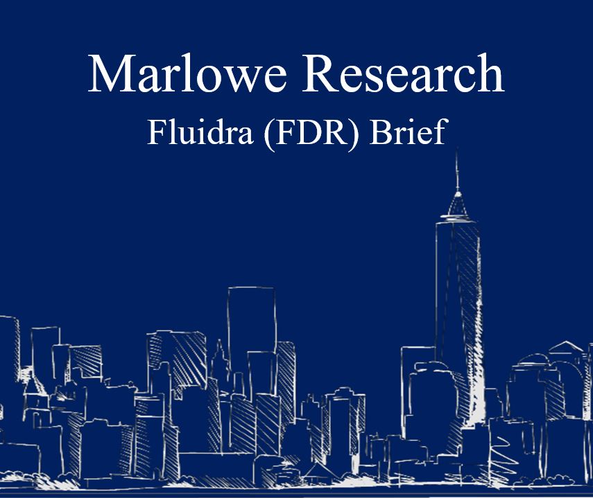 Fluidra Brief